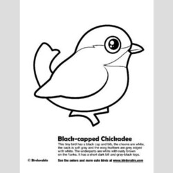 Cute Bird Coloring Pages (page 4) by Birdorable - Free Downloads